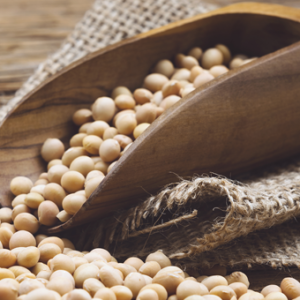 Big Agra’s Fake “Superfood” soy