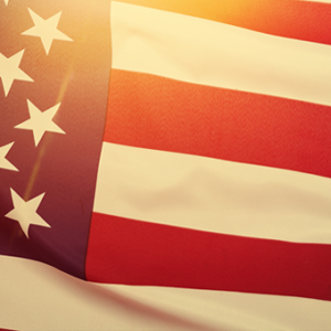 Newt Fought for Health Freedom — and Won! flag