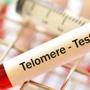 Dramatic Age Reversal! telomeres