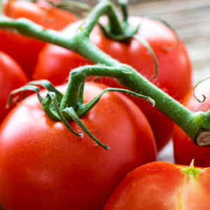 Supplement Increases Sun Protection 800% tomato