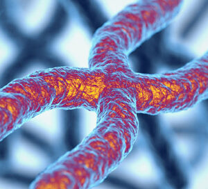 How to fight skin damage at DNA level telo